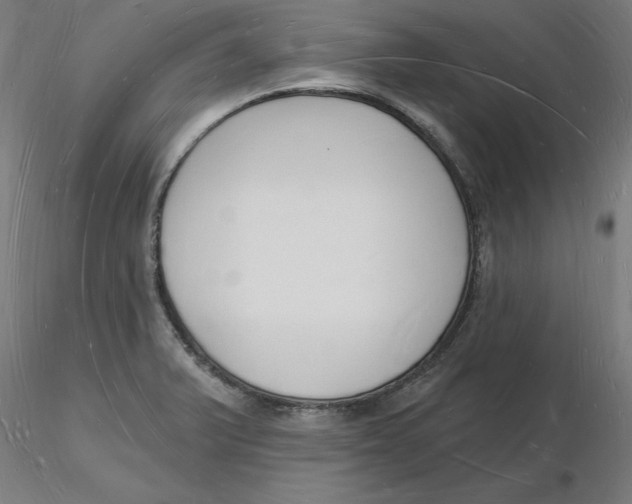 X0000116131375200912211706
