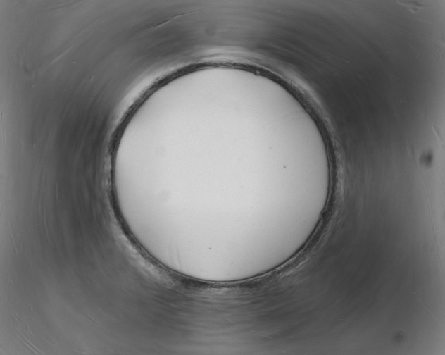 X0000116131376200912211706