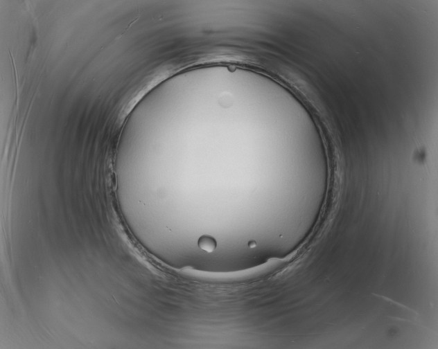 X0000116131377200912211706