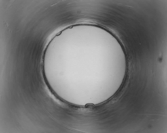 X0000116131379200912211706