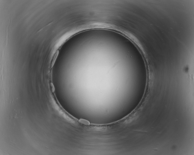 X0000116131381200912211706