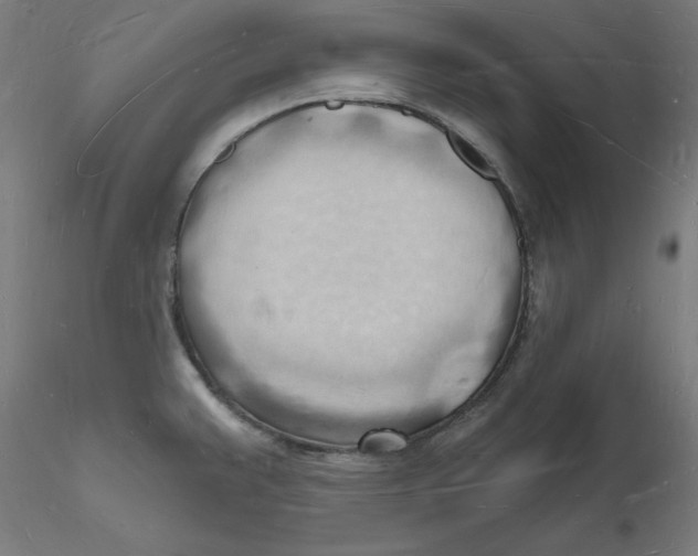 X0000116131383200912211706