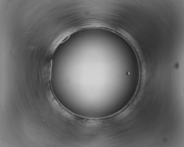 X0000116131385200912211706