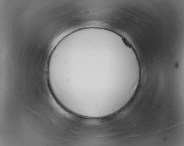 X0000116131387200912211706
