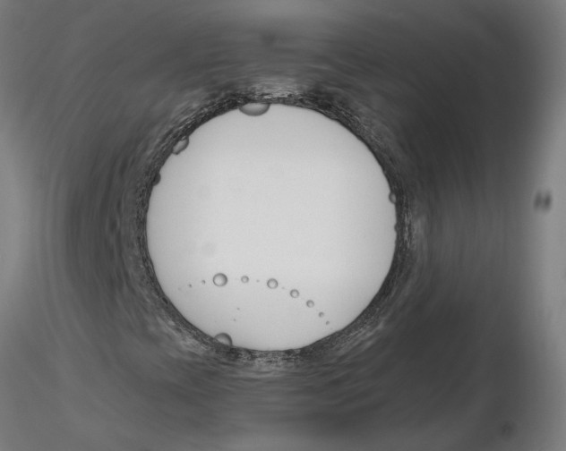 X0000116131393200912211705
