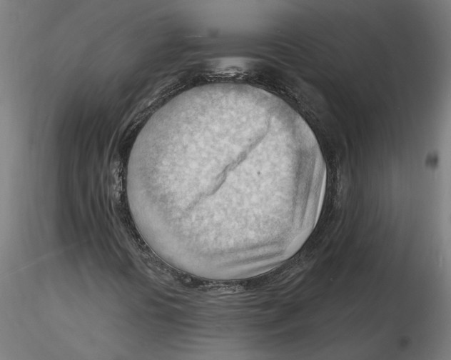 X0000116131394200912211705