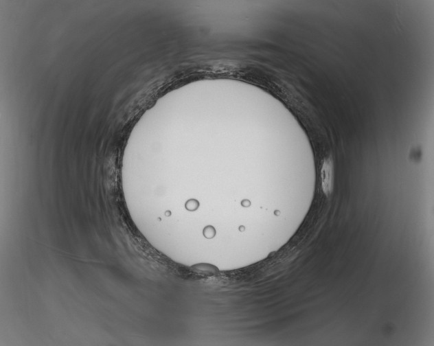 X0000116131395200912211705