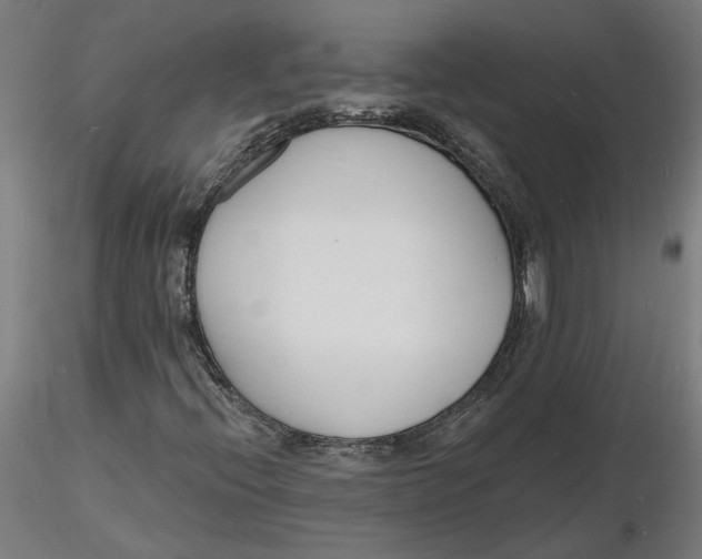 X0000116131396200912211705