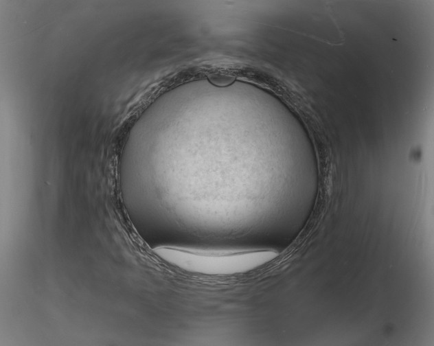 X0000116131397200912211705