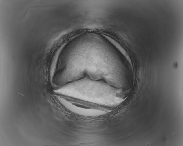 X0000116131398200912211705
