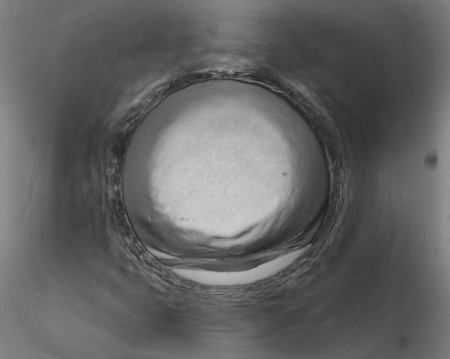 X0000116131399200912211705