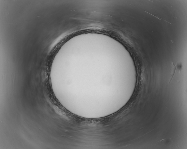 X0000116131400200912211705