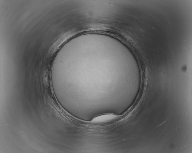 X0000116131401200912211705
