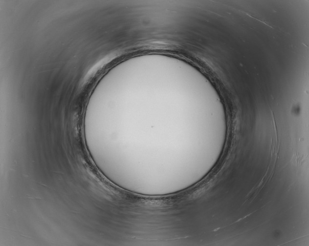 X0000116131402200912211705