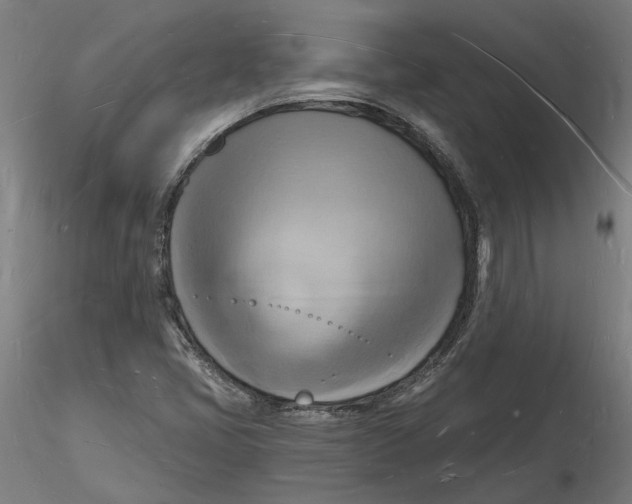 X0000116131405200912211705