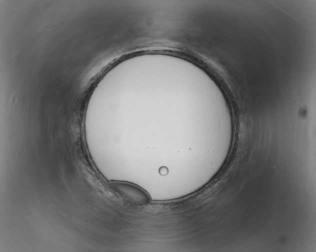 X0000116131407200912211705