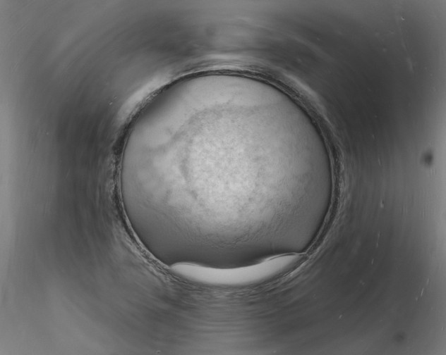 X0000116131411200912211705
