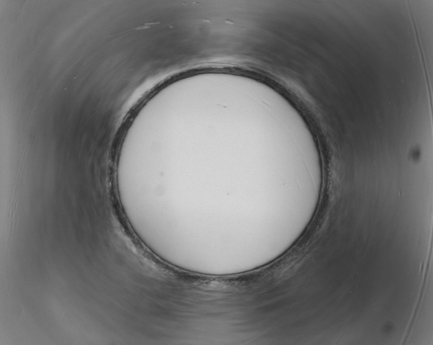 X0000116131412200912211705