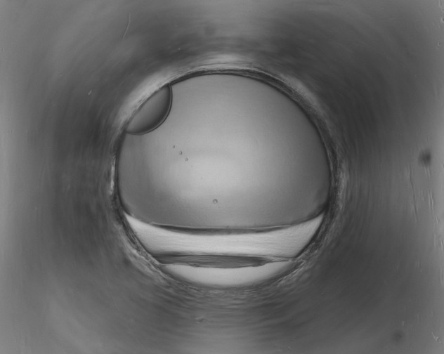 X0000116131413200912211705