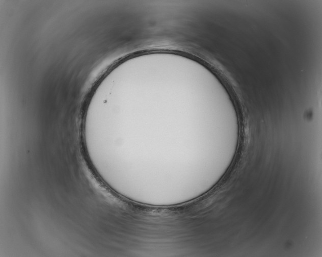 X0000116131416200912211705
