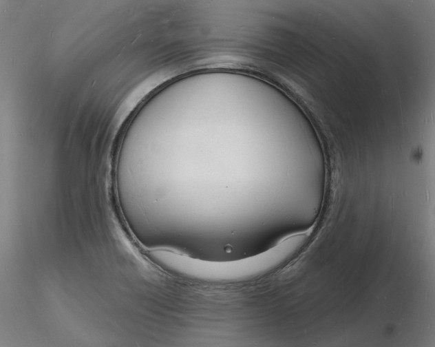 X0000116131418200912211706
