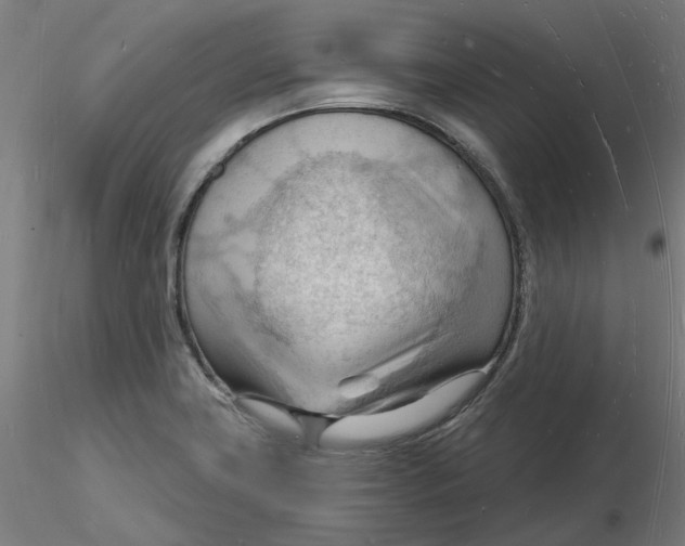 X0000116131419200912211706