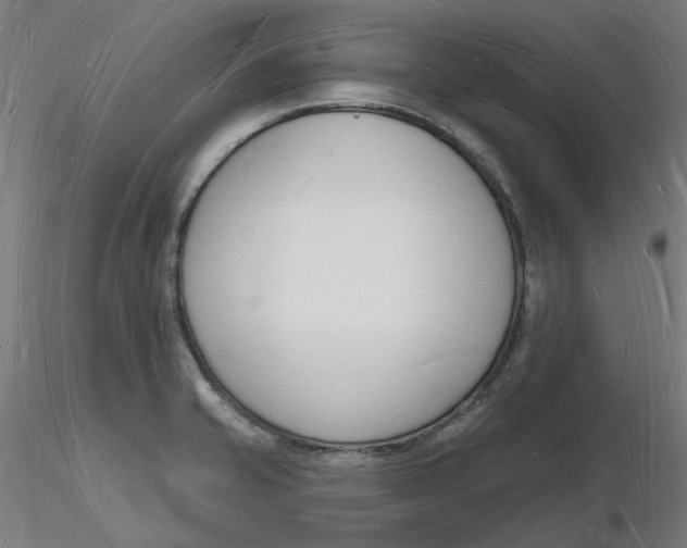 X0000116131421200912211706