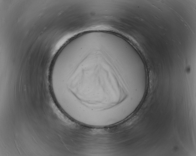 X0000116131422200912211706