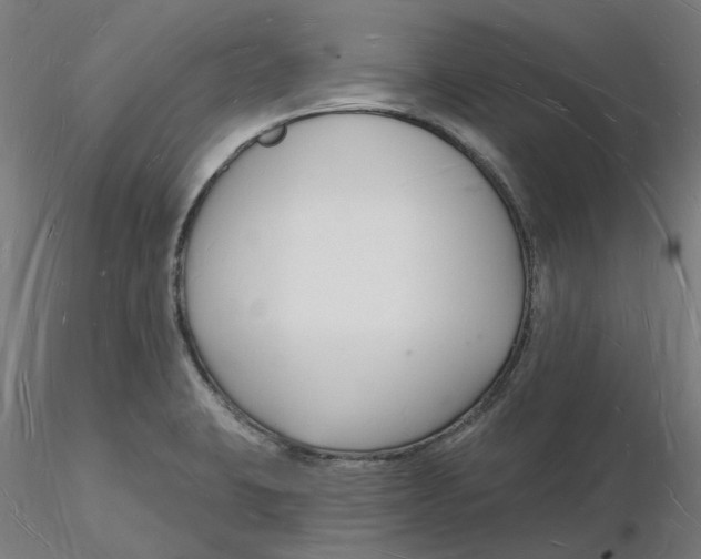 X0000116131423200912211706