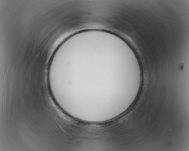 X0000116131424200912211706