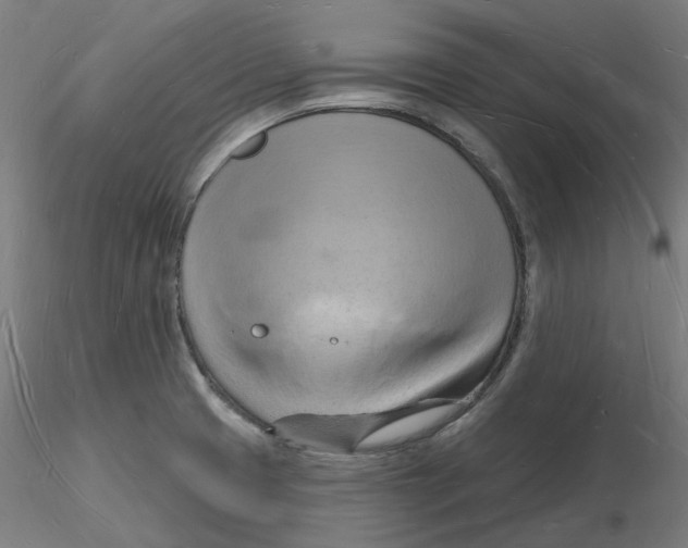 X0000116131425200912211706