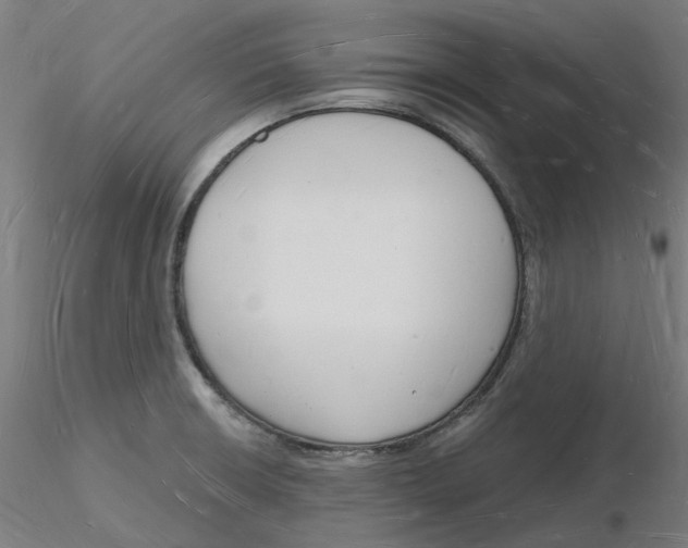 X0000116131426200912211706