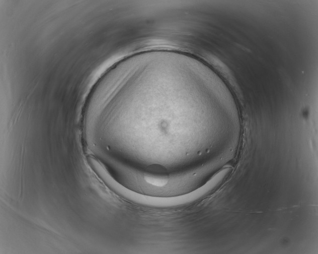 X0000116131427200912211706