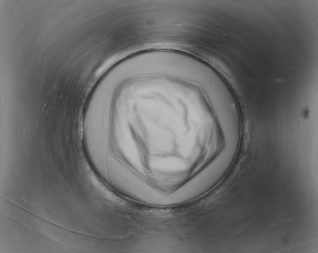 X0000116131428200912211706