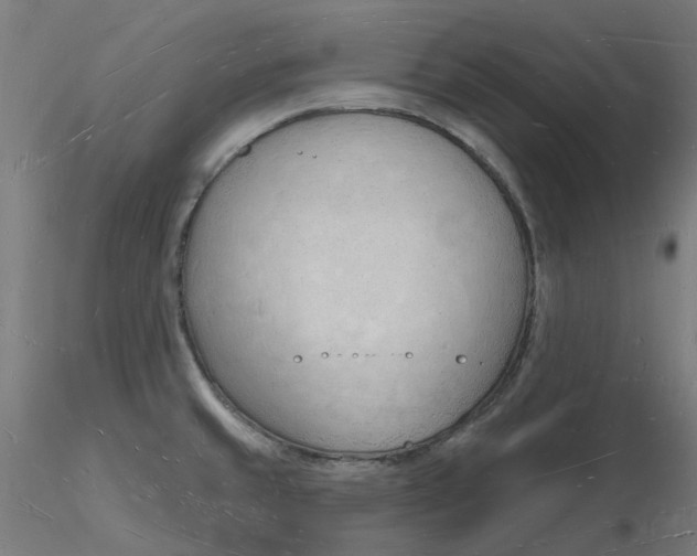 X0000116131429200912211706