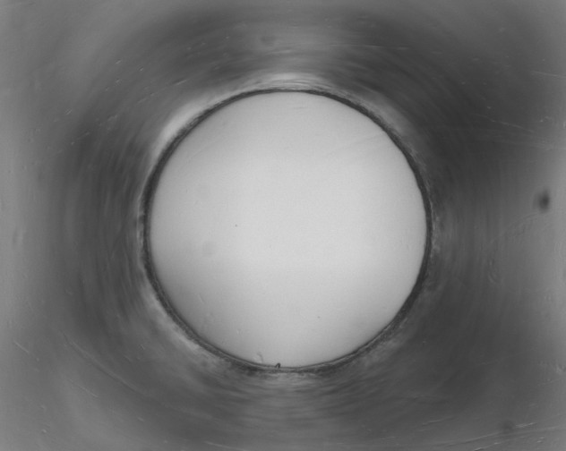 X0000116131430200912211706