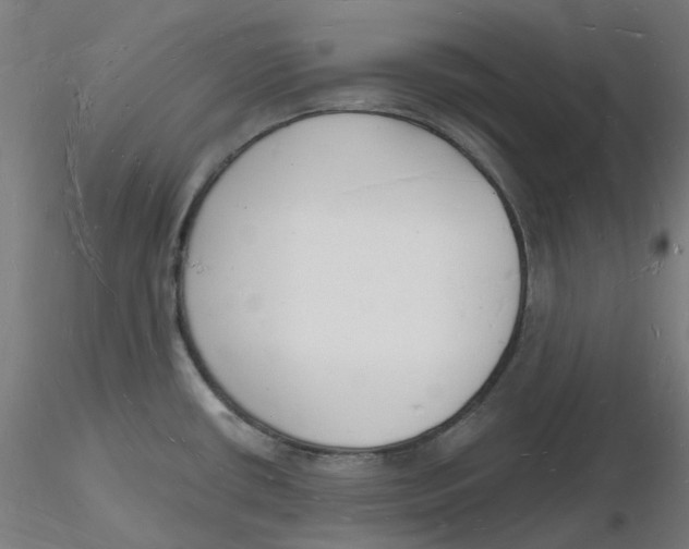 X0000116131434200912211706