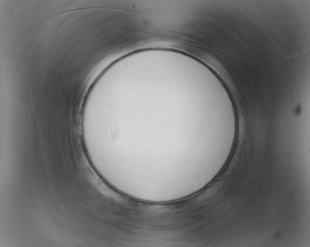 X0000116131436200912211706