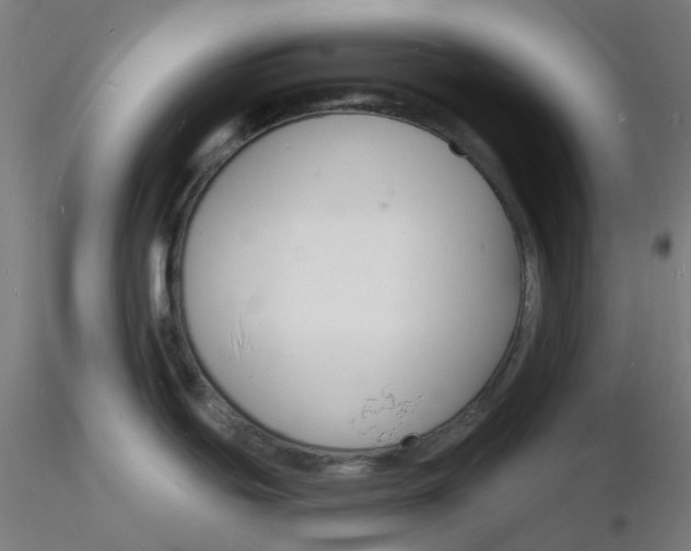 X0000116131439200912211706
