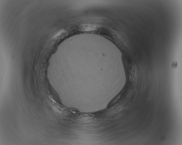 X0000116131441200912211705