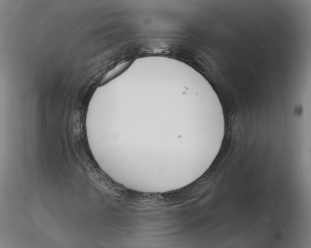 X0000116131442200912211705