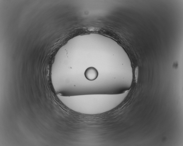 X0000116131443200912211705