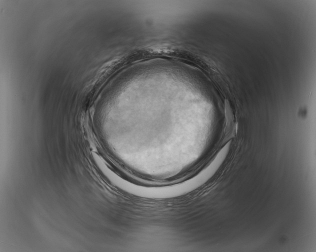 X0000116131444200912211705