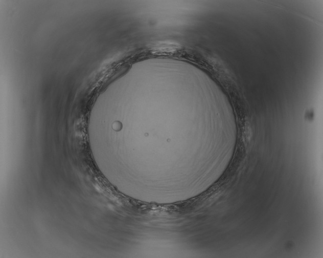 X0000116131445200912211705