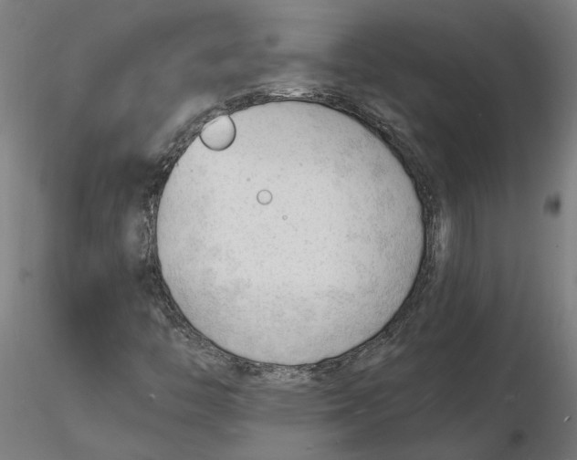 X0000116131446200912211705