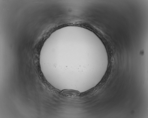 X0000116131447200912211705