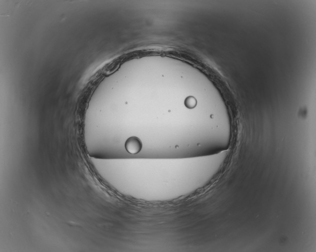 X0000116131448200912211705