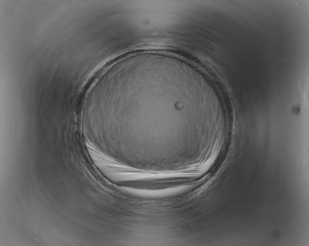 X0000116131449200912211705
