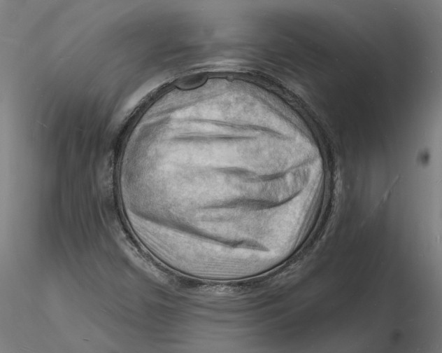 X0000116131450200912211705