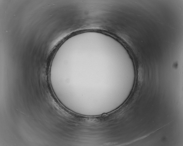 X0000116131452200912211705